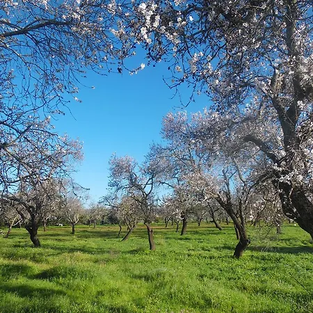 Moura 11 아파트 *