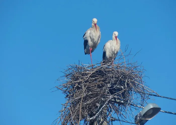 アパート Moura 11